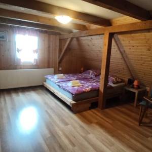 MRKOPALJ - Samostojeća kuća s okućnicom