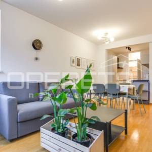 Najam, Stan, Trešnjevka, Sunčane Škrinjarić, 2s, 54m2