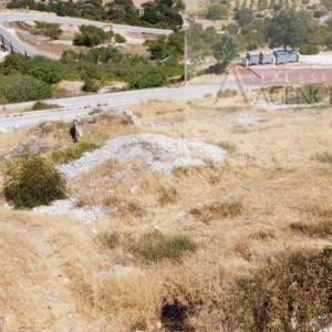 Nerežišća otok Brač građevinsko zemljište 901 m2 + 2 dozvole - novo