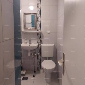 Novigrad – Mareda, stan s terasom 300 m od mora