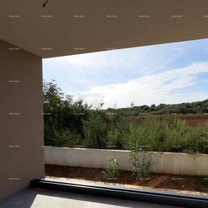 Novo! Prodaja stanova u novom stambenom projektu, Volme!