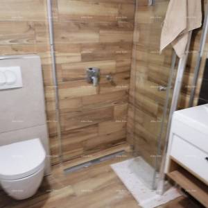 Novo renovirana kuća u Pazinu.