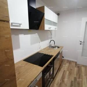 Novo renovirana kuća u Pazinu.