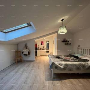 Obiteljska kuća sa dvorištem u Puli! Gregovica .