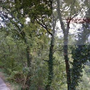 Omiš Svinišće 432 m2 građevinsko zemljište povoljno!