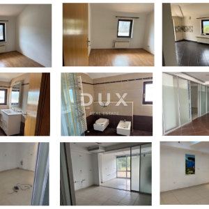 OPATIJA, MATULJI, ŠAPJANE - samostojeća kuća ( poslovna zgrada 780 m2 ) + 3.484 m2 okućnice! PRILIKA!