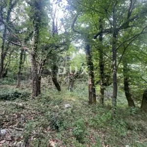 OPATIJA, MOŠĆENIČKA DRAGA – rekonstrukcija objekta