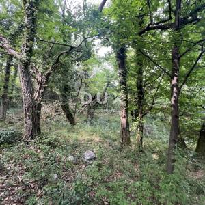 OPATIJA, MOŠĆENIČKA DRAGA – rekonstrukcija objekta