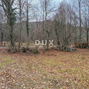 OPATIJA, ZVONEĆA – zadnje građevinsko zemljište u šumi kao iz bajke, šumska idila samo 6km do Opatije i mora