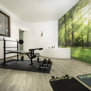 Otok Krk - Luksuzna kamena vila s bazenom