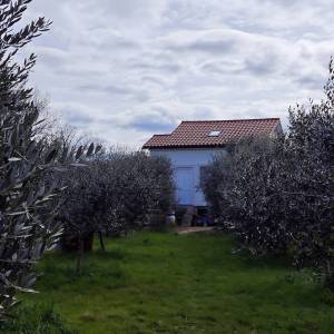 OTOK KRK, MALINSKA - Kućica u masliniku