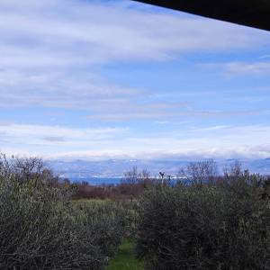 OTOK KRK, MALINSKA - Kućica u masliniku