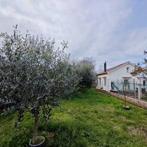 OTOK KRK, MALINSKA - Kućica u masliniku