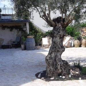 OTOK KRK, MALINSKA - Šarmantna kamena kuća s bazenom