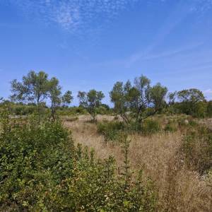 OTOK KRK, okolica Malinske - Građevinsko zemljište