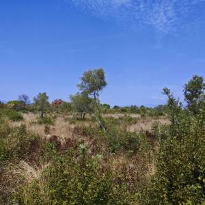 OTOK KRK, okolica Malinske - Građevinsko zemljište