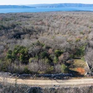 OTOK KRK – Prostrano zemljište sa šumom i velikim potencijalom