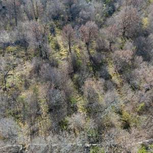 OTOK KRK – Prostrano zemljište sa šumom i velikim potencijalom