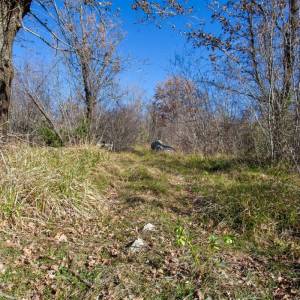 OTOK KRK – Prostrano zemljište sa šumom i velikim potencijalom