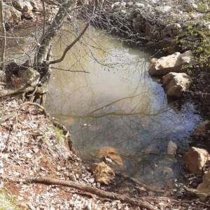 OTOK KRK – Prostrano zemljište sa šumom i velikim potencijalom