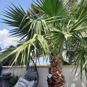 OTOK KRK, ŠILO - Apartman s okućnicom i bazenom