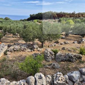 Otok Vis Rogačić kuća u izgradnji + zemljište 5100 m2 