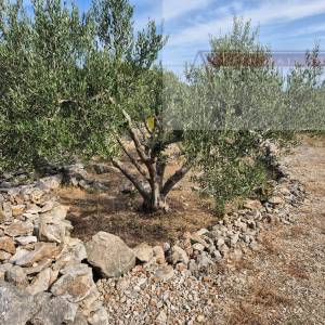 Otok Vis Rogačić kuća u izgradnji + zemljište 5100 m2 