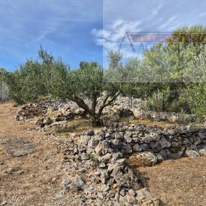 Otok Vis Rogačić kuća u izgradnji + zemljište 5100 m2 