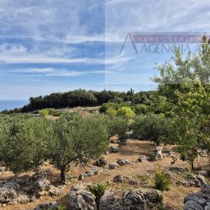 Otok Vis Rogačić kuća u izgradnji + zemljište 5100 m2 