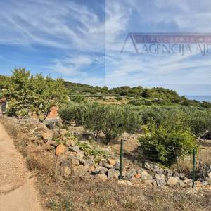 Otok Vis Rogačić kuća u izgradnji + zemljište 5100 m2 