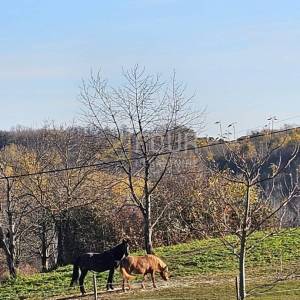 Ozalj, građevinsko zemljište, 1305m2
