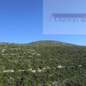 Pelješac, Orebić 1219020 m2 tj 120 hektara u komadu!