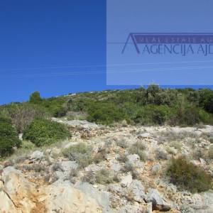 Pelješac, Orebić 1219020 m2 tj 120 hektara u komadu!