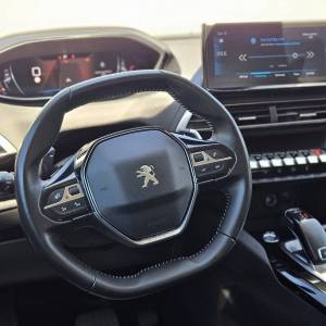 Peugeot 3008 1,5 BlueHDI 130 KS EAT8 JAMSTVO 12