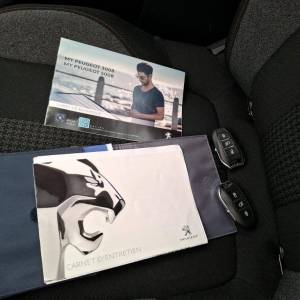 Peugeot 3008 1,5 BlueHDI 130 KS EAT8 JAMSTVO 12