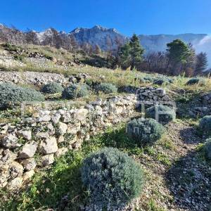 Podgora - poljoprivredno zemljište s panoramskim pogledom