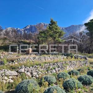 Podgora - poljoprivredno zemljište s panoramskim pogledom