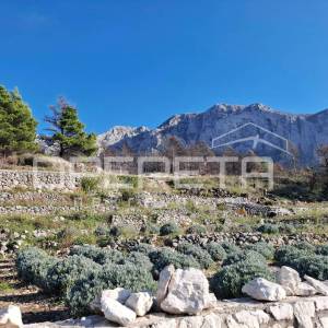 Podgora - poljoprivredno zemljište s panoramskim pogledom