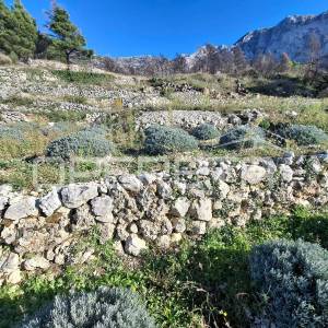 Podgora - poljoprivredno zemljište s panoramskim pogledom