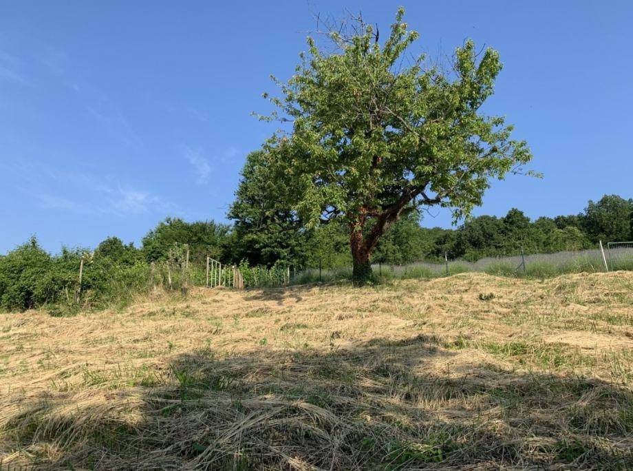 PODSLJEME - BAČUN - Građevinsko zemljište 1998 m2 - s pogledom!