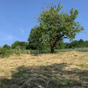 PODSLJEME - BAČUN - Građevinsko zemljište 1998 m2 - s pogledom!