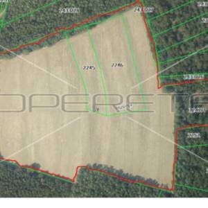 Poljoprivredno zemljište sa objektima, 100.000 m2, Ferdinandovac 