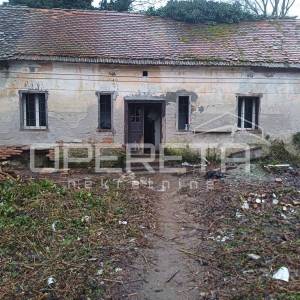 Poljoprivredno zemljište sa objektima, 100.000 m2, Ferdinandovac 