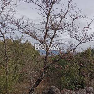 Poljoprivredno zemljište 10568 m2 – Poljica *Uz prometnicu* (ID-2537/E)