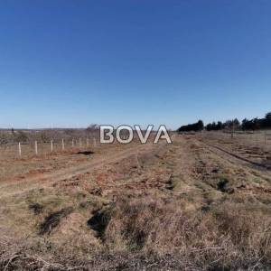 Poljoprivredno zemljište 6427 m2 – Smilčić *Uz javnu prometnicu* (ID-2524/E)