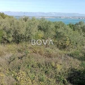 Poljoprivredno zemljište 2811m2 – Sutomišćica *Prvi red do mora* (ID-2485/E)