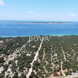 Poljoprivredno zemljište 20.438 m2 – Pag *Prvi red do mora* (ID-2403/F)