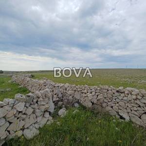 Poljoprivredno zemljište 60 000 m2 – Pag *Lijepa pozicija* (ID-2324)