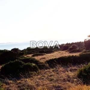 Poljoprivredno zemljište  3500 m2 – Vir *Pogled na more*  (ID-2067)