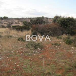 Poljoprivredno zemljište 5000 m2 – Vir  (ID-2012)